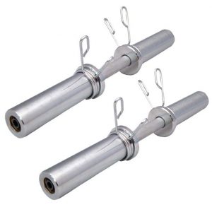 Coppia di manubri Olimpionici